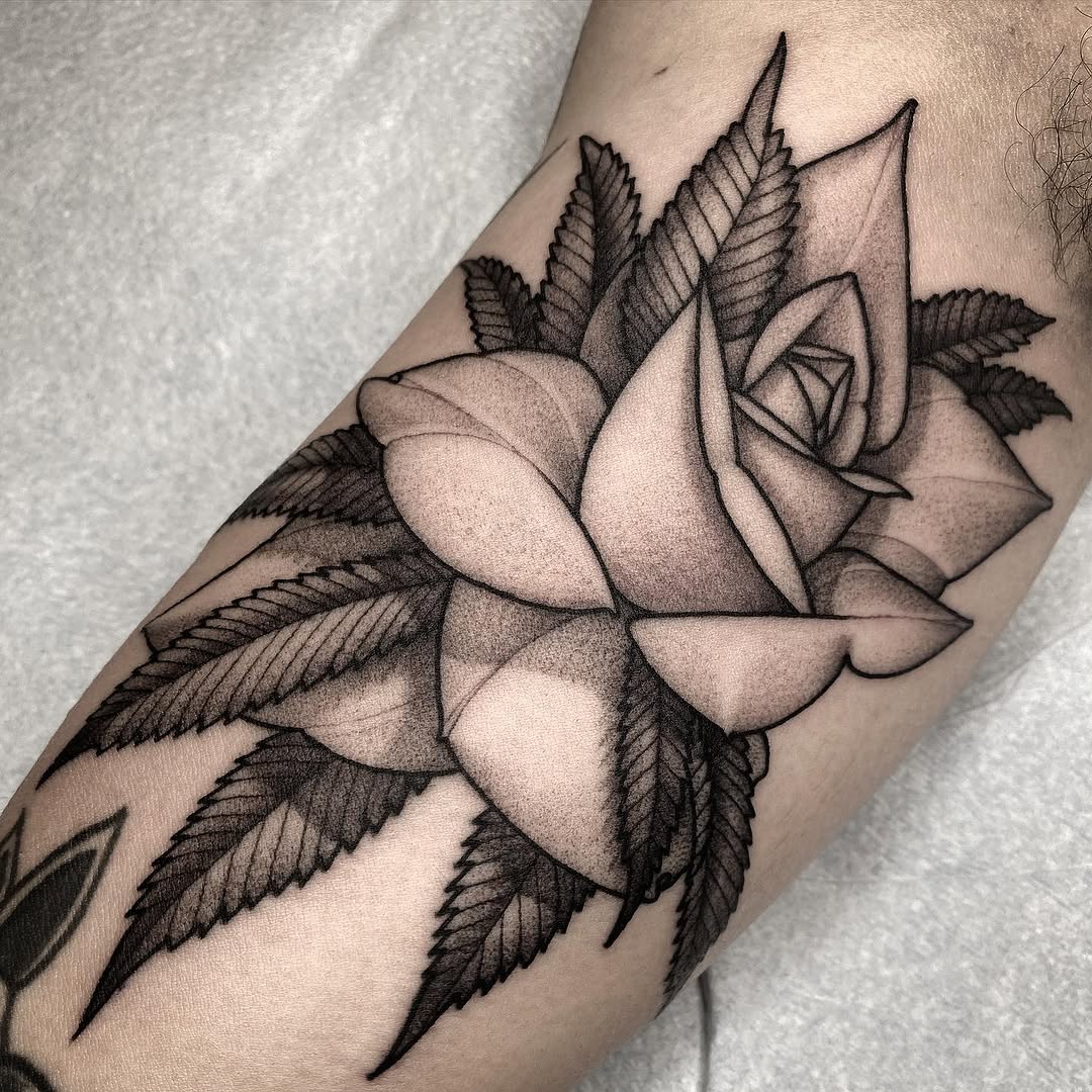 Flower, Rose