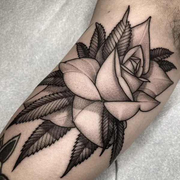 Flower, Rose
