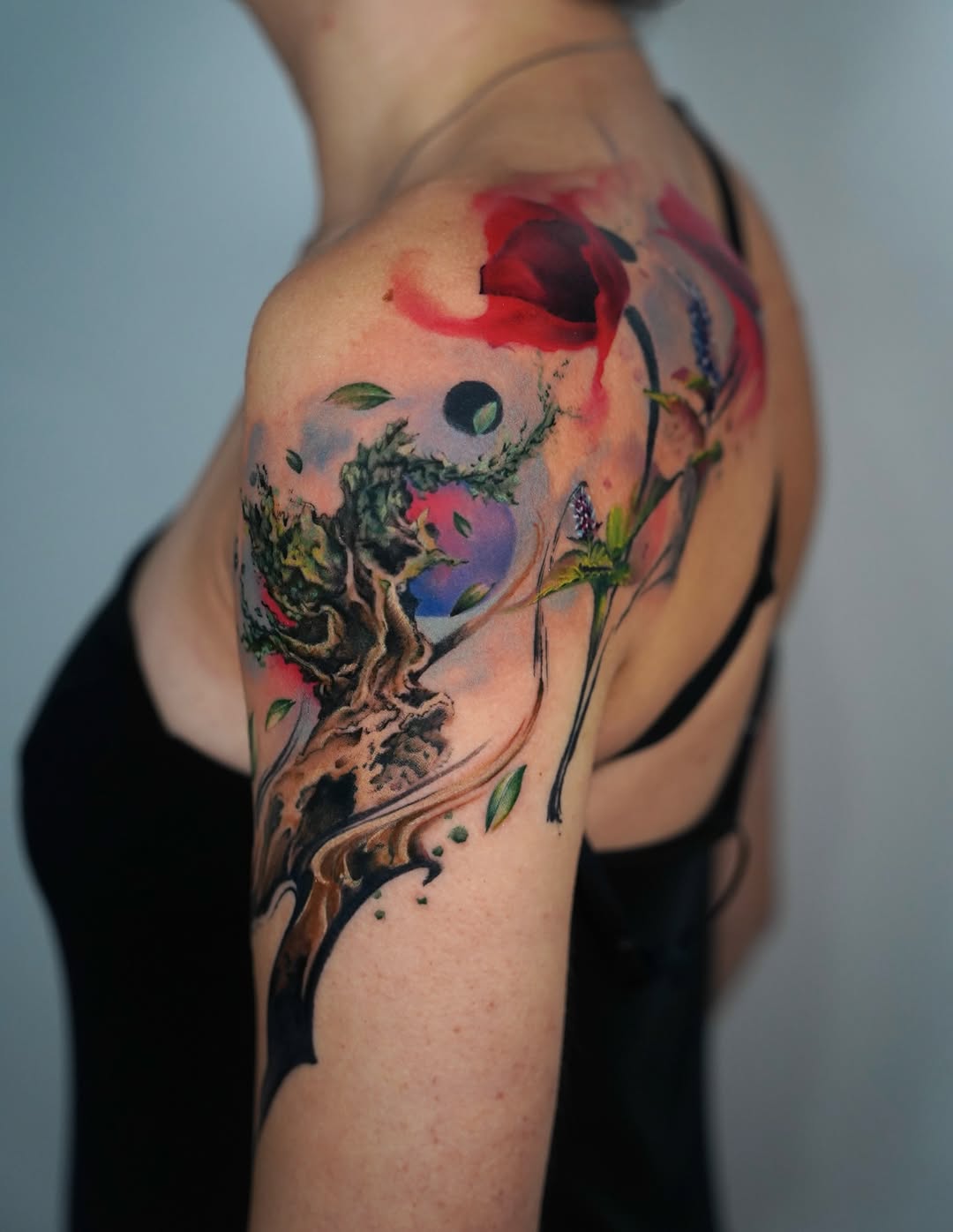 Flower, Nature, Rose