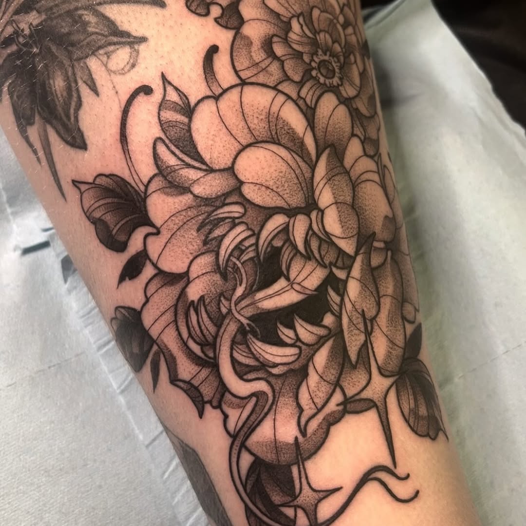 sarastigmata