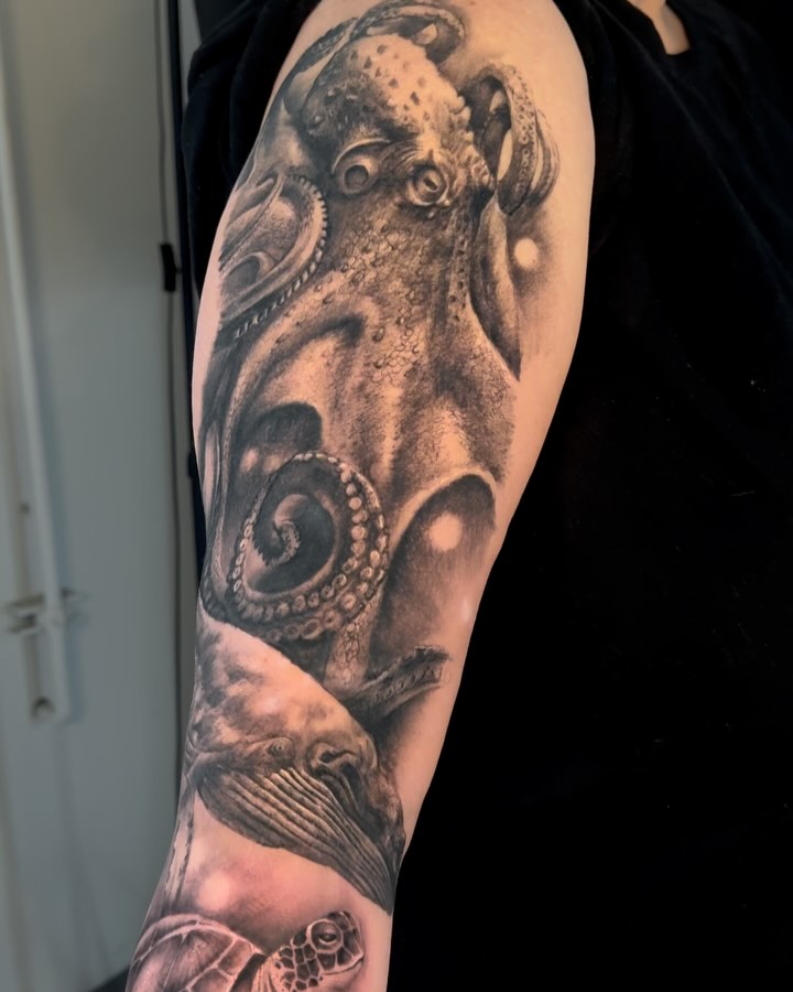 Animal, 문어
