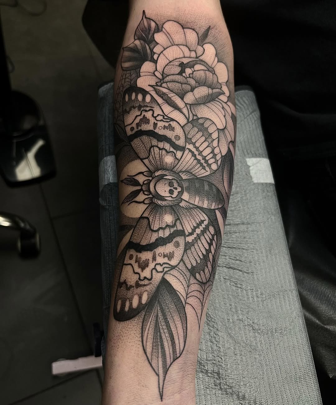 sarastigmata