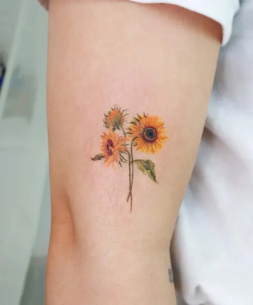 Flower, 해바라기