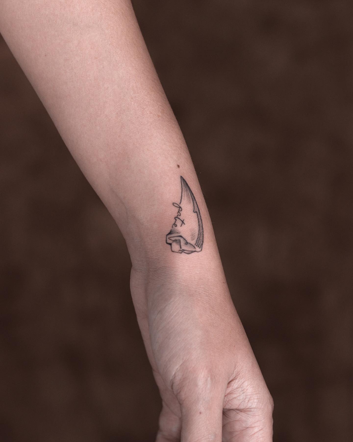 fawn.ink