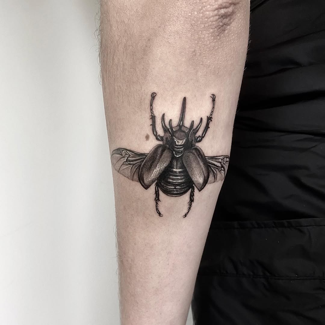 Animal