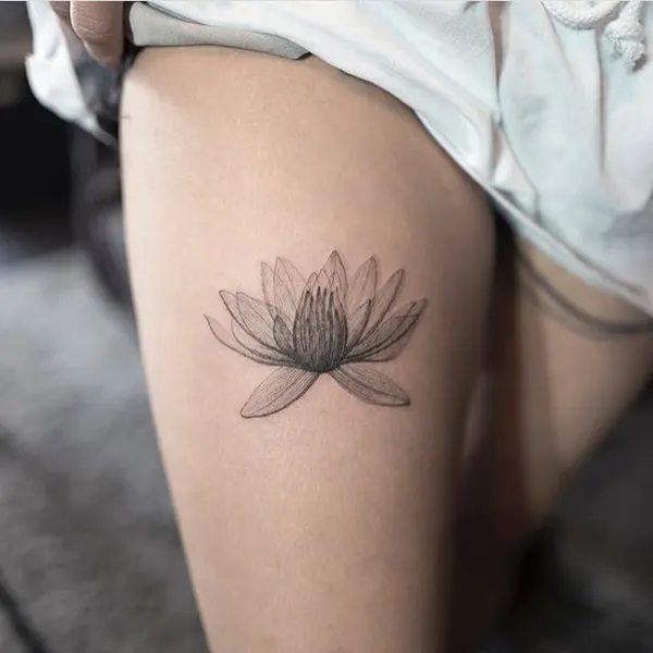 Flower, 연꽃, 백합, 수선화, 은행잎