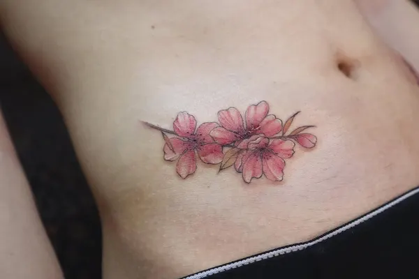 Flower, 난초, 벚꽃