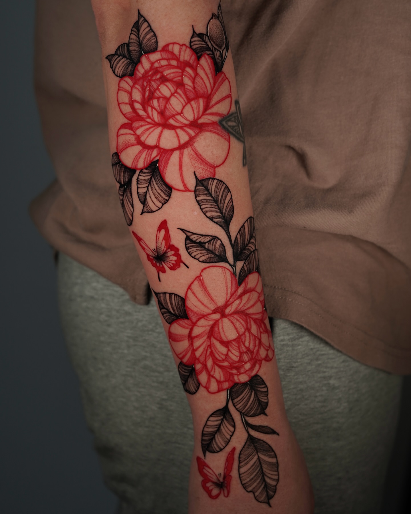 Animal, Nature, Flower