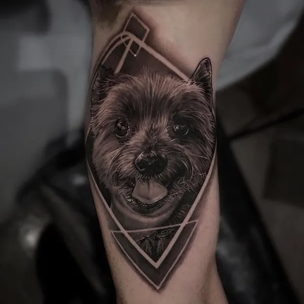 Animal