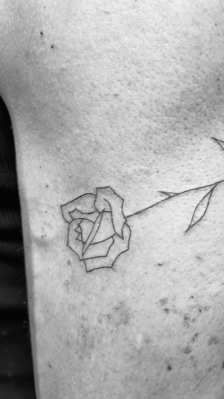 Flower, Rose
