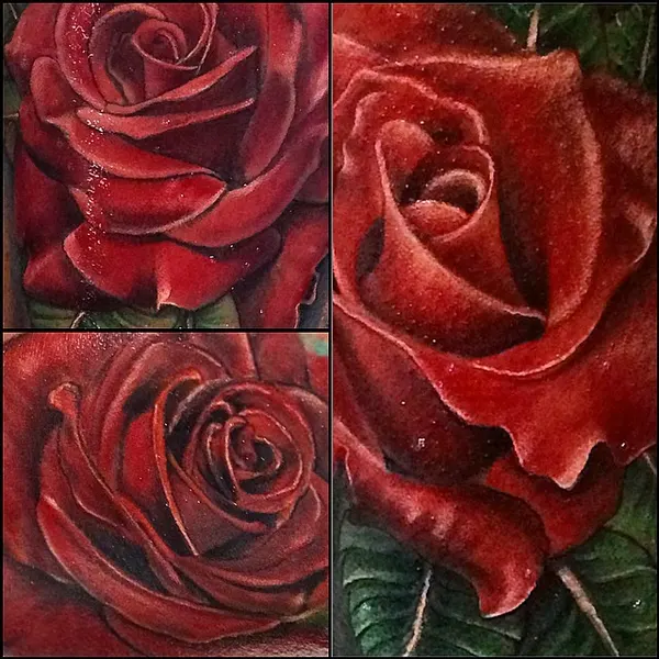 Flower, Rose