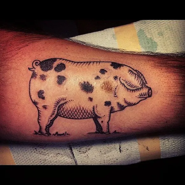Animal