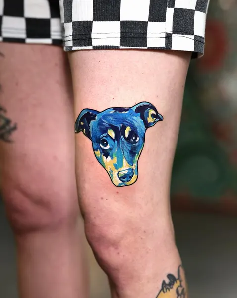 Animal