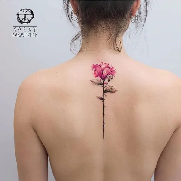 Flower, Nature