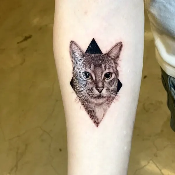 Animal