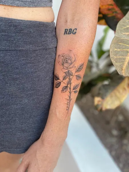 Flower, Rose