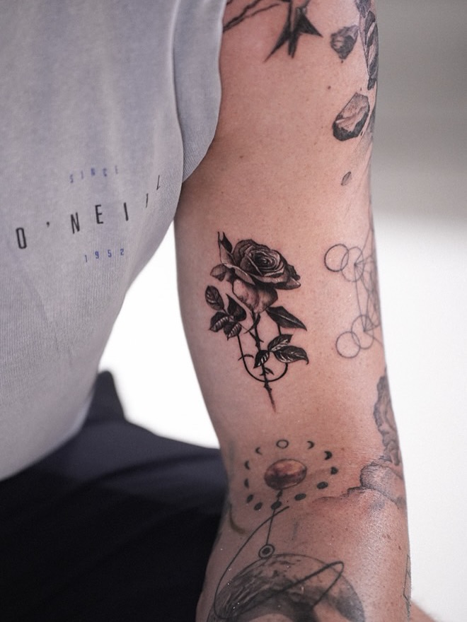 Flower, Rose