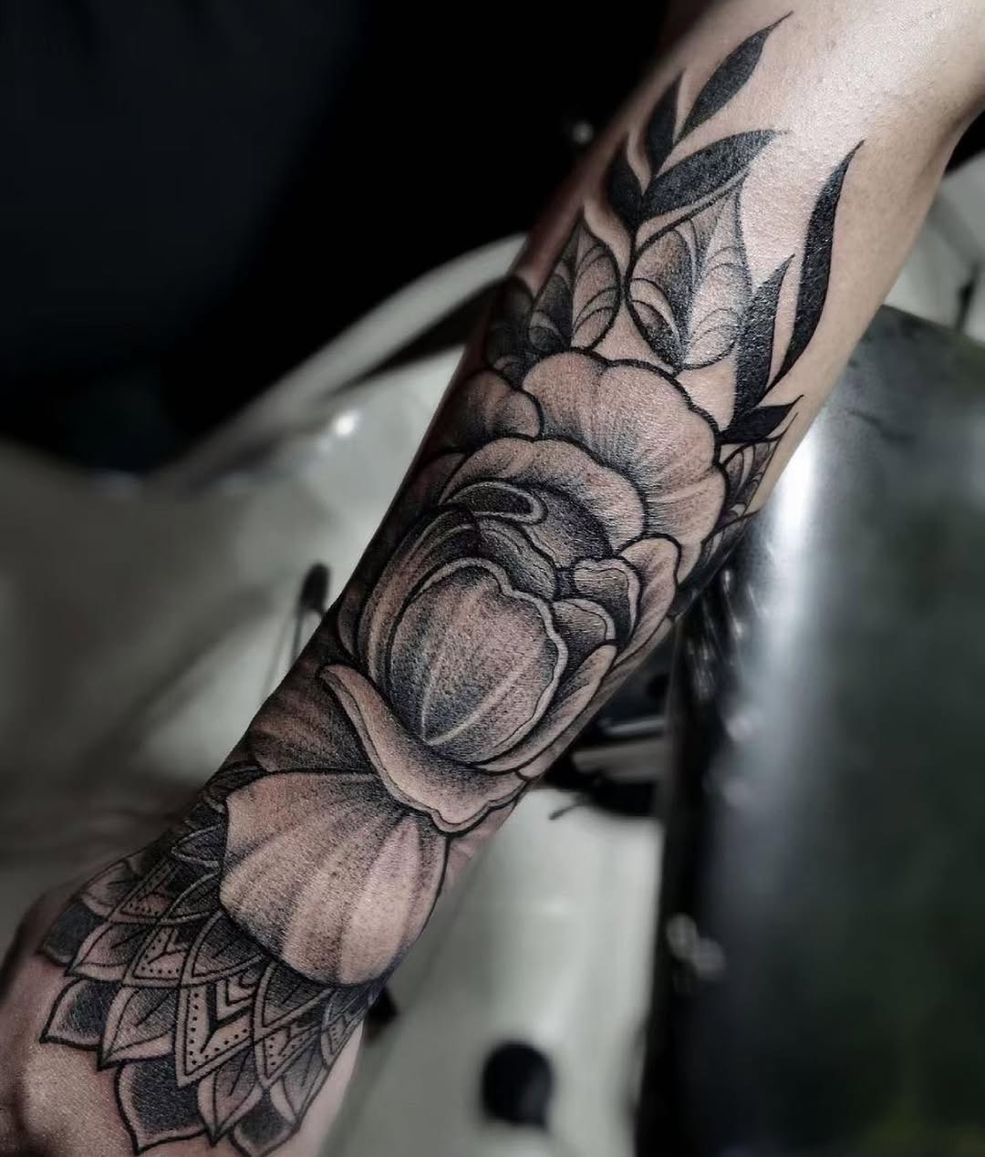 Flower, Rose