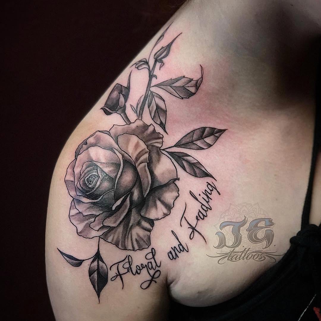 Flower, Rose, Nature