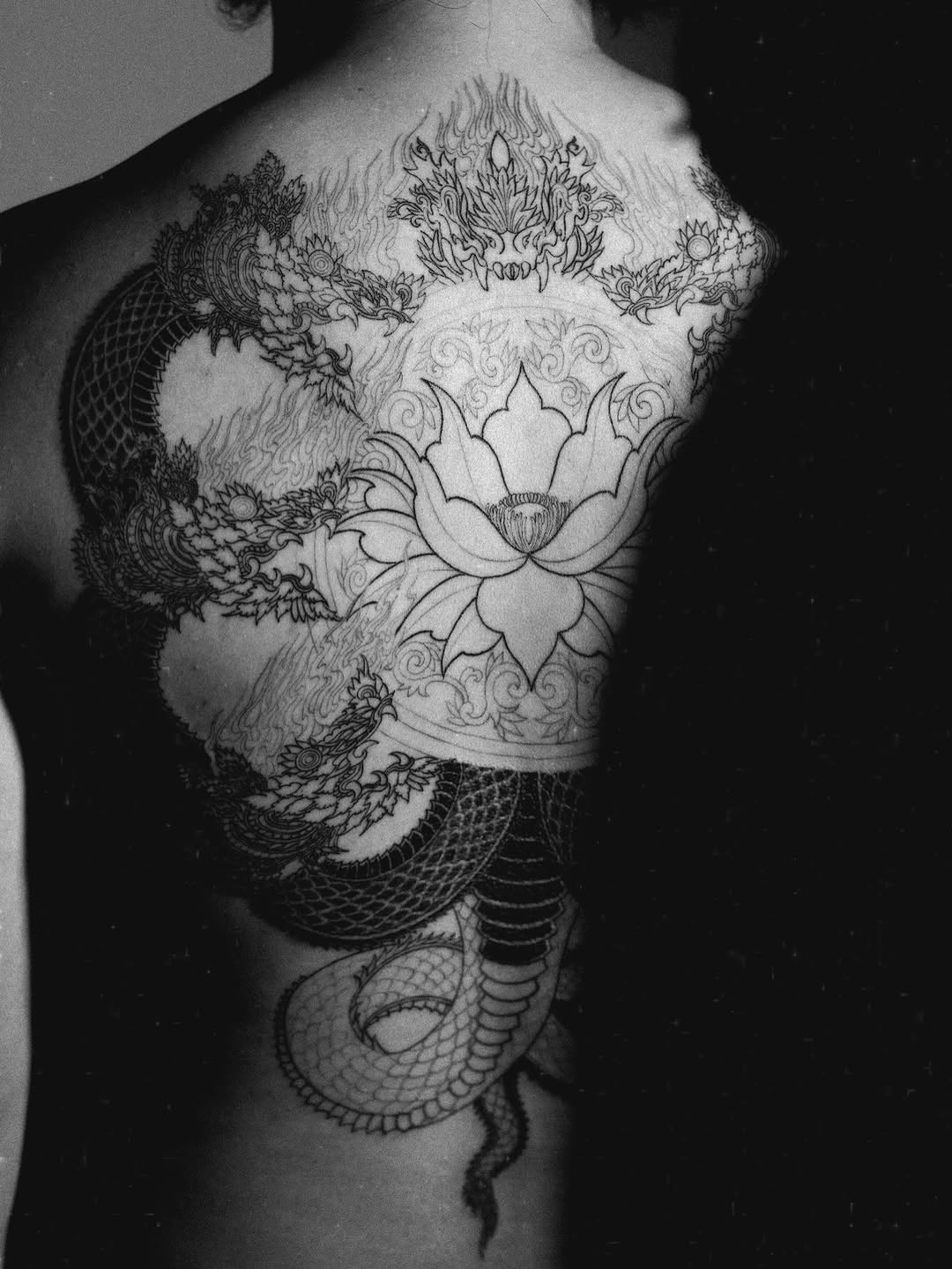 Dragon