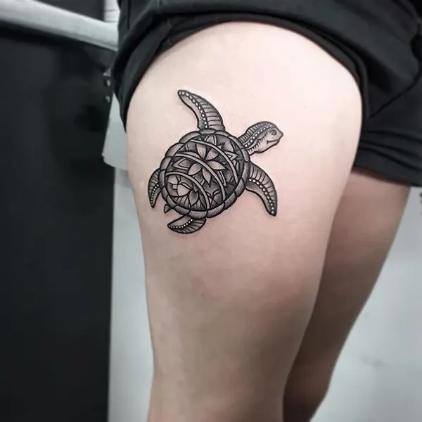 equilattera
