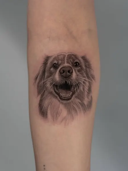 Animal, 강아지