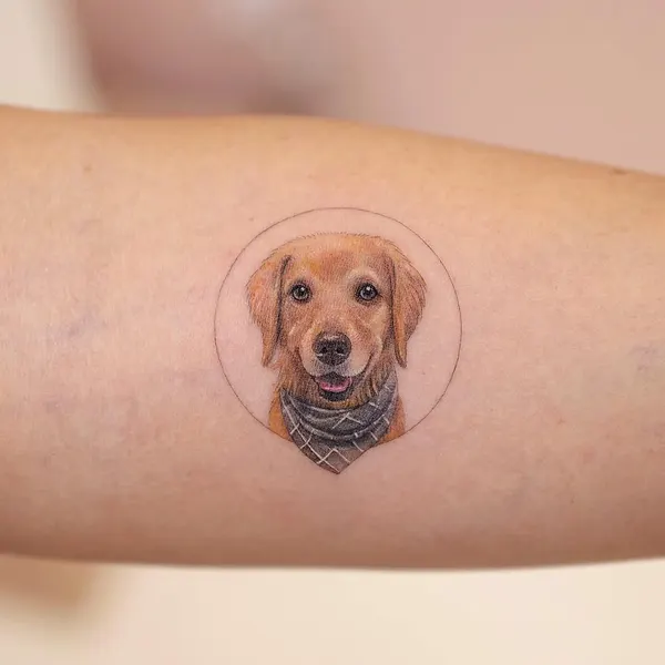 Animal