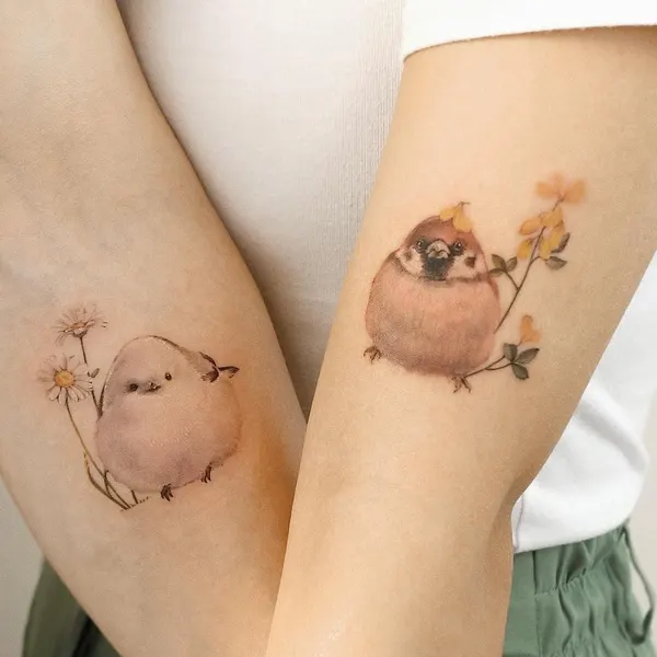 벌새, 제비, 새, 비둘기, 참새