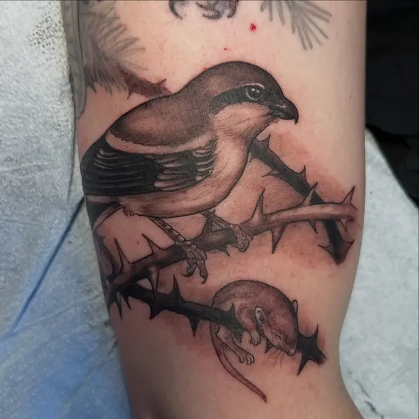 shawn_hebrank