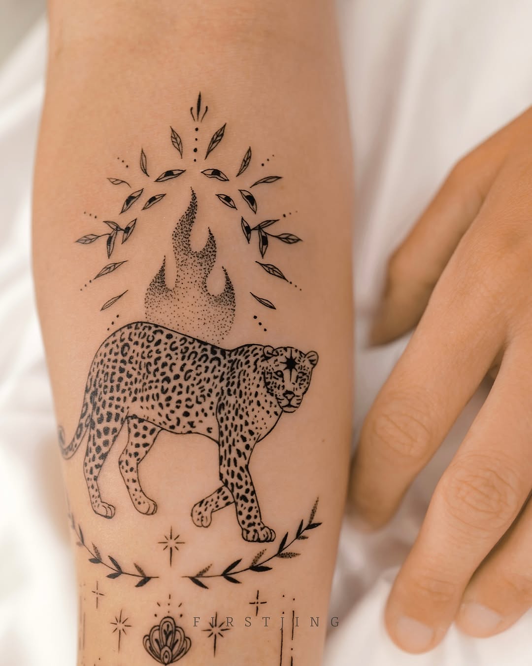 Animal, Tiger