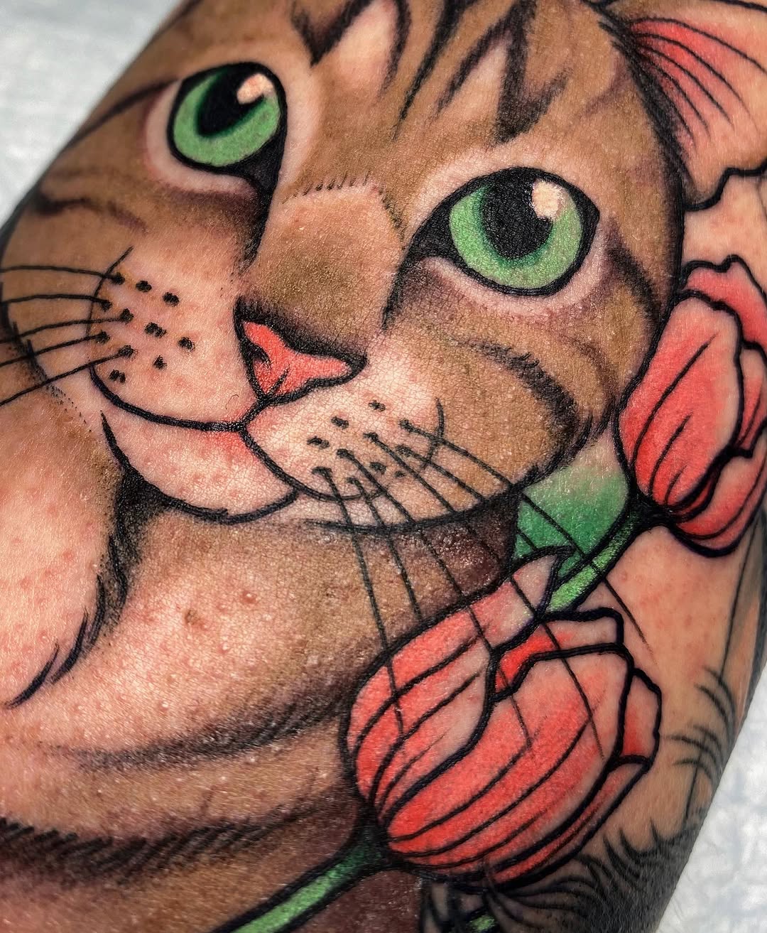 Animal