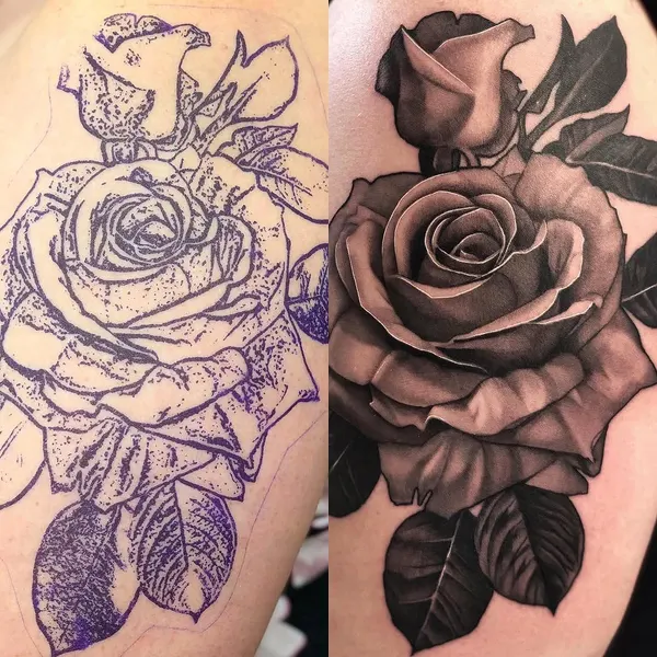 Flower, Rose
