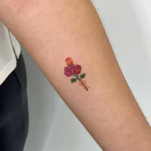 Flower, Rose