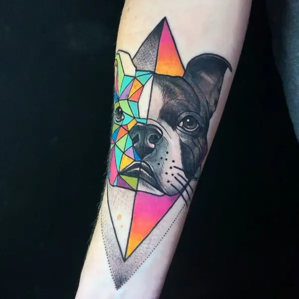 Animal