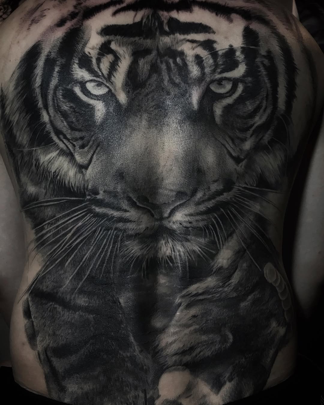 Tiger, 중국 호랑이, 한국 호랑이