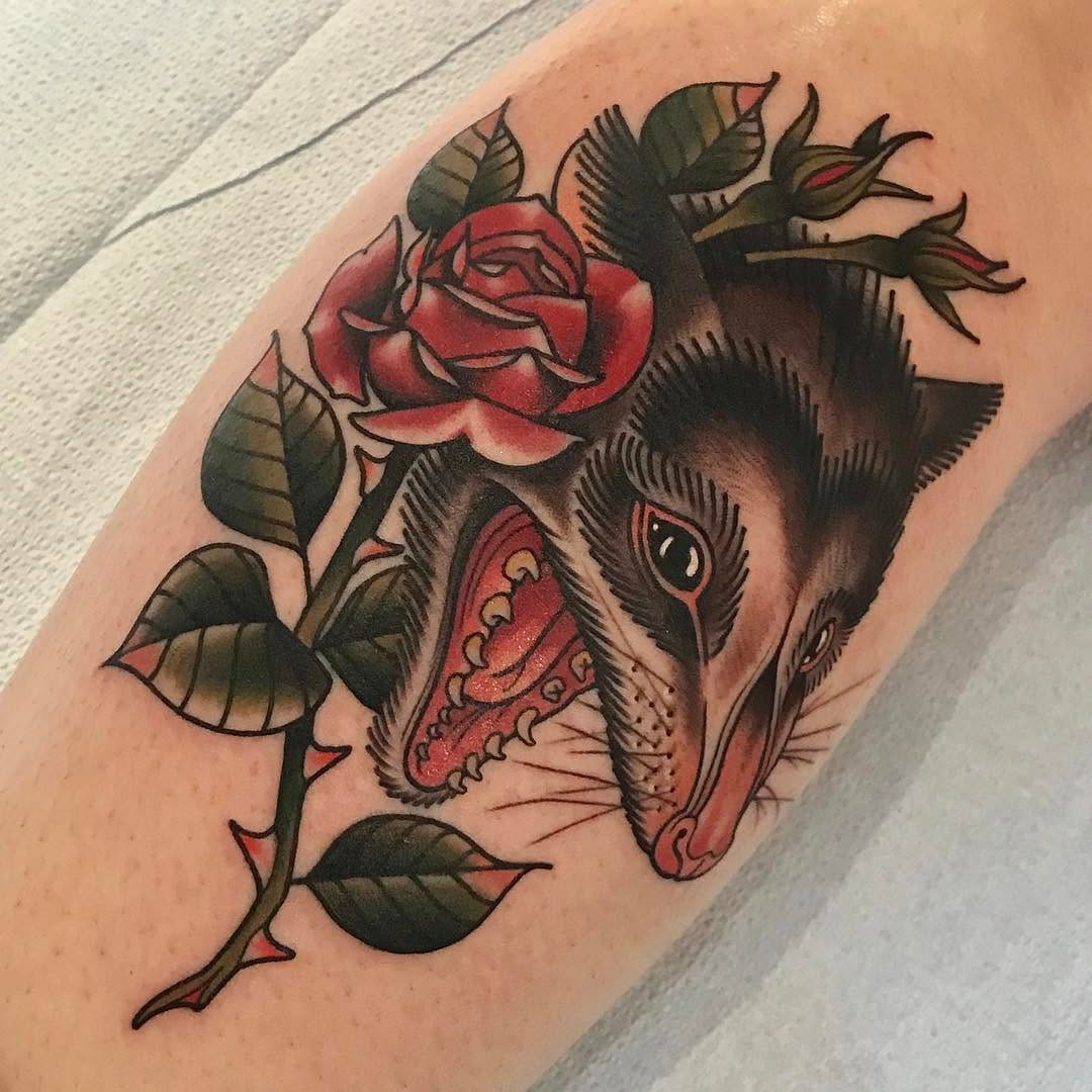 Animal, Tiger
