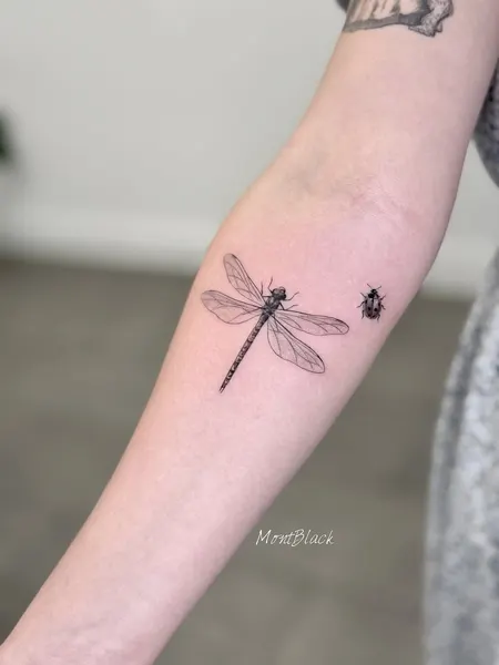 Nature, Animal