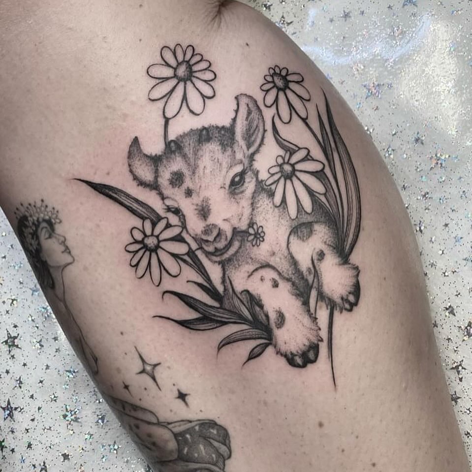 Animal