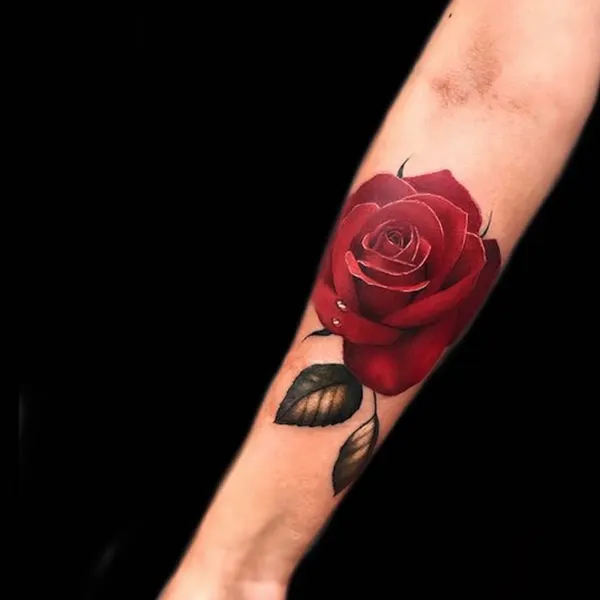 Flower, Rose