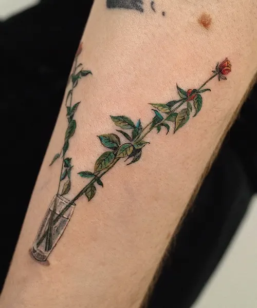 Rose, Flower