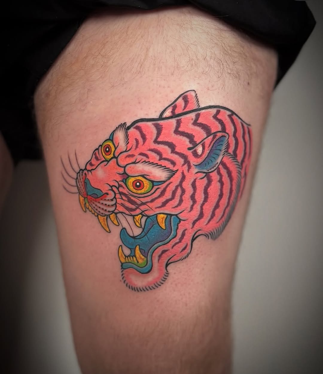 Tiger