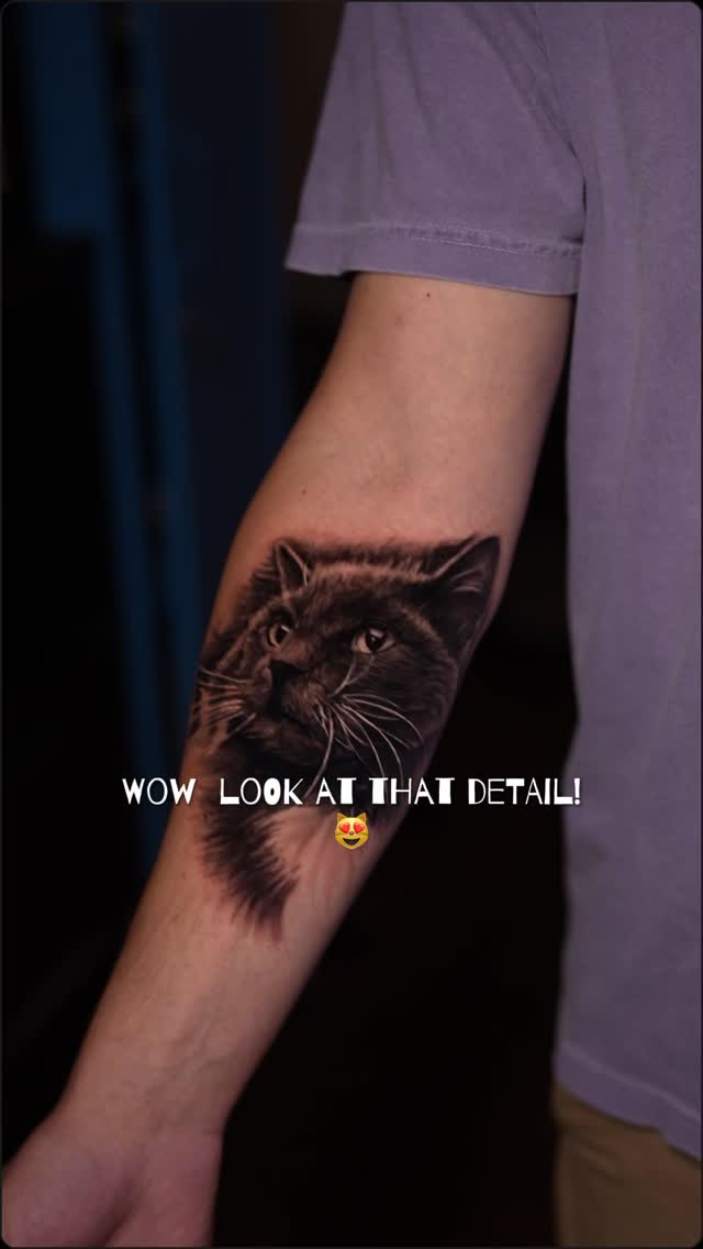 Animal