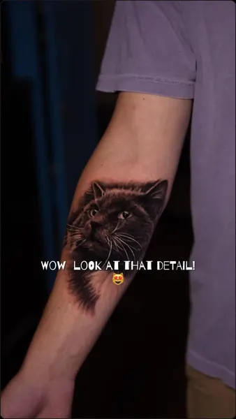 Animal