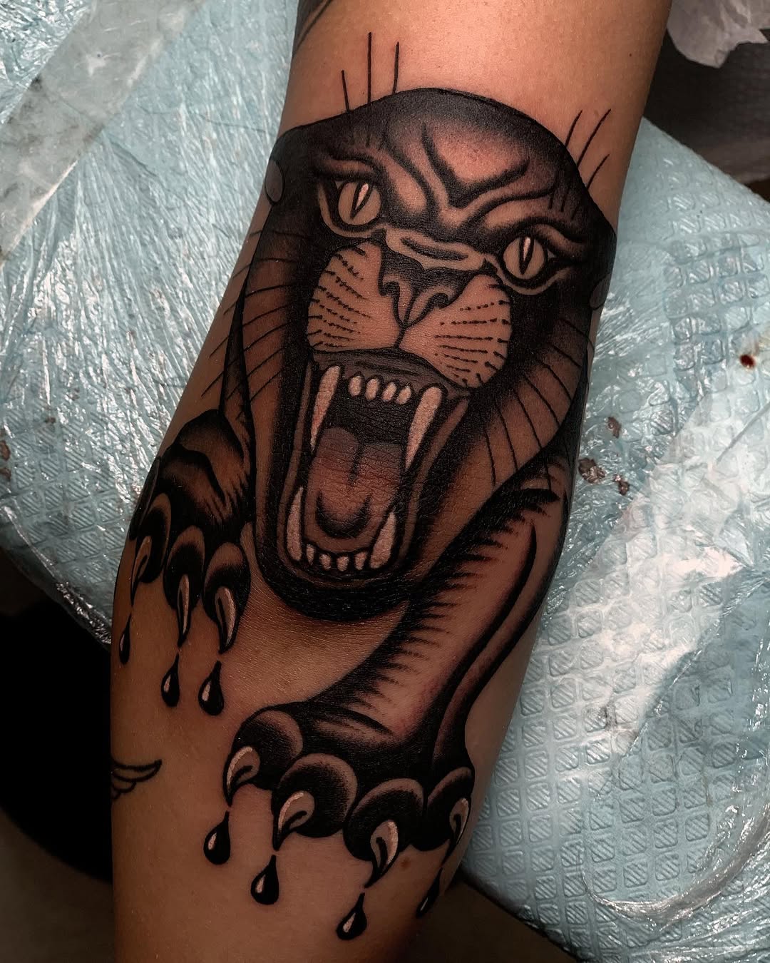 Animal, Tiger