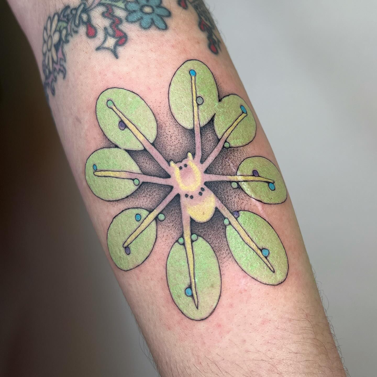 cymatic.garden