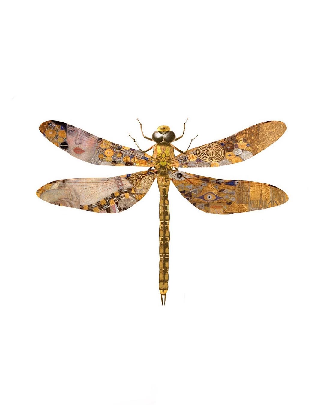 caotida