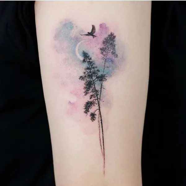 equilattera