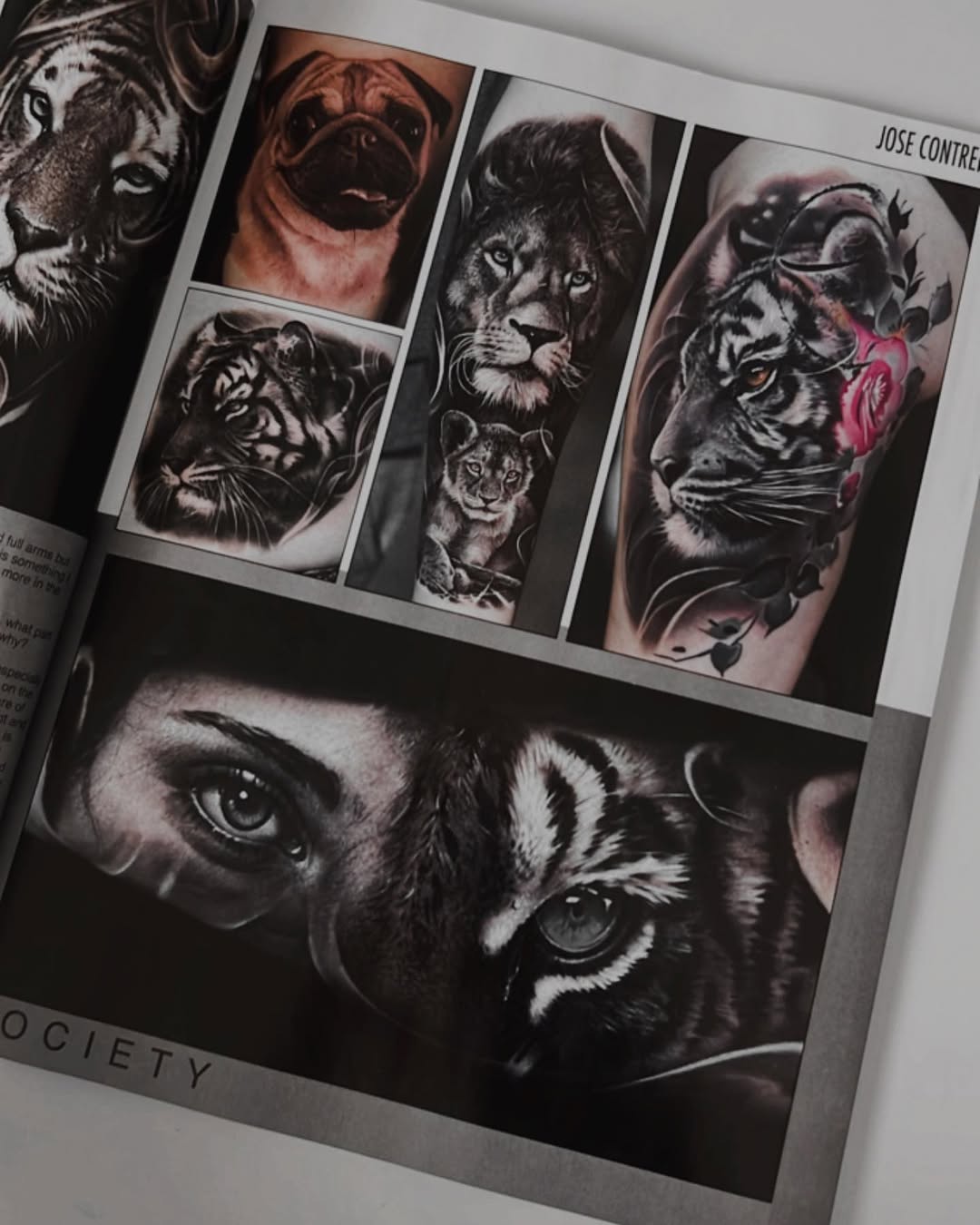 Tiger