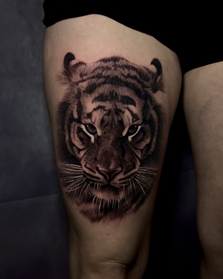 Tiger, 중국 호랑이, 한국 호랑이