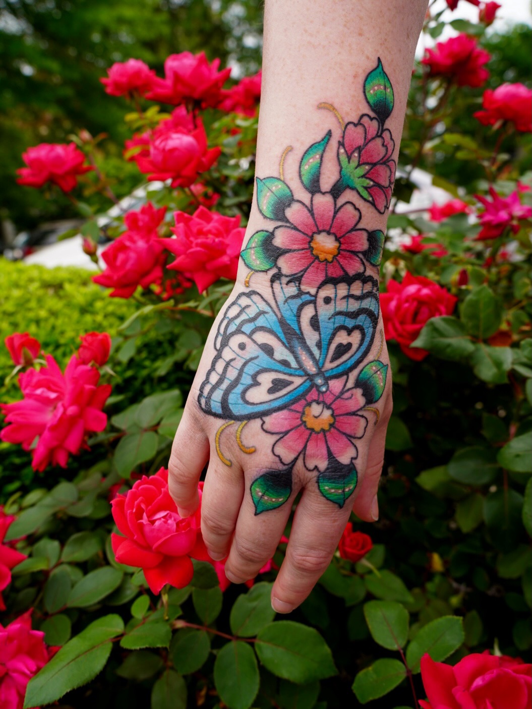 Flower, Animal, Rose, Nature